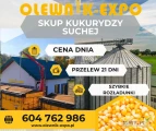 Firma Olewnik-Expo kupi kukurydzę suchą z dostawą do portu w Gdańsku. Bieżące przyjęcia na magazyn do 20 listopada. Zapraszam do...