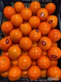 Sprzedam! Mandarynka Egipt - pod zamówienie. Dostępne ilości paletowe i całosamochodowe.  