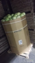 Sprzedam kapustę białą kaliber od 1-4kg przewaga 2-3kg opakowanie karton box ilości tirowe
