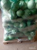 Sprzedam kapustę białą od 1- 4 kg. Opakowanie do uzgodnienia 