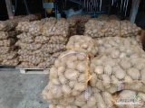 Sprzedam ziemniaki żółte twarde Jurek , Melody , Belaroza, Lawenda