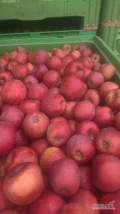 Kupię jabłko prince szampion 2 klasa na obieranie płatność gotówką lub przelewem 