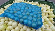 Sprzedam cebulę białą, obraną. Doskonała jakość, schłodzona. Opakowanie do wyboru: skrzynki 10kg, worki, skrzynie,...