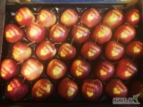 Sprzedam jabłka z napisami I LOVE YOU na odmianie red jonaprince, kaliber 70 - 75 mm, w kartonie jednowarstwowym z wytłoczką po 30 szt