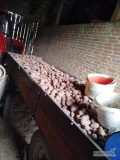 Witam mam do sprzedania ziemniaki jadalne Belarosa cena 70 gr za 1 kg