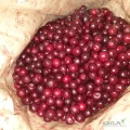 Sprzedam wiśnię mrożoną z pestką/niekalibrowana/w workach po 25 kg
