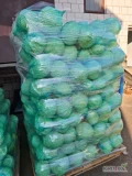Sprzedam kapustę białą 1-4,5kg ilości paletowe 