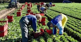 Zbiór pod kontrolą czyli zdrowe owoce i warzywa