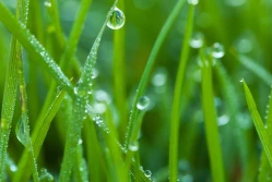 IMGW: kwiecień będzie deszczowy. A potem?