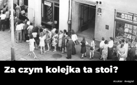 Polska jest potęgą cukrową i węglową. Dlaczego cukru i węgla brakuje?