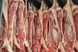 Zamiast dopłat do przechowywania - lepiej wysłać wieprzowinę na Ukrainę