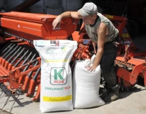 Klasyfikacje i oznakowania materiału siewnego