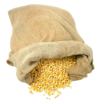 Nasiennictwo w Polsce