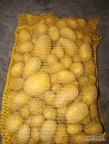 Sprzedam ziemniaki odmiana Soraya, Queen Anne. Towar wysokiej jakości z jasnej ziemi, szczotkowany. Możliwość rozkalibrowania na kilka...