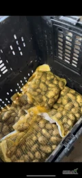 Sprzedam ziemniaki jadalne, opakowania dowolne (4-15kg) czyste z lekkiej ziemi