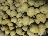 Sprzedam ziemniaki jadalne żółte, Riviera kaliber 6-10 z lekkim parchem około 10t.