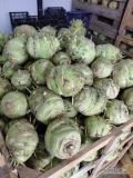 Witam, sprzedam około 80 t kalarepy Kossak kaliber 1-3kg. Kalarepa jest czysta i zdrowa w srodku. Możliwość mycia. Cena 2 zł...