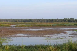 8% gruntów wyłączonych przez odbudowę ekosystemów rolniczych?