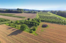 Ruszyły wnioski na dopłaty obszarowe