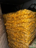 Sprzedam ziemniaki Gala zdrowe po szczotce  pakowane 10kg szyty worekkaliber 50+