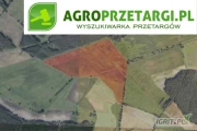 Przetarg na dzierżawę 282,06 ha gruntu rolnego na 10 lat – RIIIa, RIVa, RIVb, RV, RVI, ŁIII, ŁIV, ŁV, ŁVI, PsVI