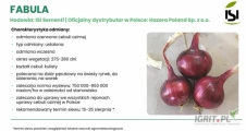 Nasiona cebuli czerwonej Fabula F1 , Fakira F1 firmy ISI Sementi oferuje GEPWEG dystrybutor nasion. Dostawa gratis. Płatność przy...