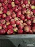 Sprzedam jabłka idared zwykła chlodnia za wagę w skrzyni