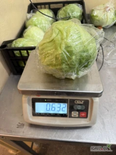 Sprzedam PIĘKNA  sałatę lodowa ilosci paletowe. Towar na miejscu. Dostawa cala Polska. 10szt w skrzynce. 400g  