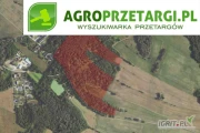 Przetarg na dzierżawę 11,57 ha gruntu rolnego na 10 lat – RIVb, RV, RVI, ŁIV, PsIV, Ls, Lz, N