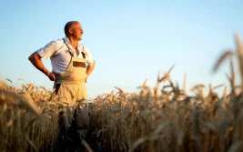 Nowy minister rolnictwa pod choinkę- czy pomoże rolnikom?