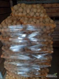 Sprzedam ziemniaki odmiany Gala z jasnej ziemi kaliber 45 plus około 20 ton opakowanie do uzgodnienia możliwość dostawy więcej...
