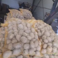 ziemniaki soraja 45+50+ czysty beż robaka ilość tir worek lub bb 