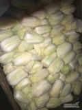 sprzedam kapustę pekińską do 0,5 kg