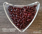 Fasola czerwona red kidney