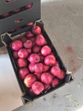 Witam sprzedam jabłko odmiany Prince rozmiar 8+ w czarny karton 13kg netto.