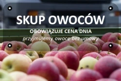 Uwaga podmioty skupujące owoce! Minister przypomina