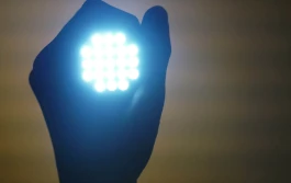 Szkolenie: Zastosowanie lamp LED w uprawie roślin ogrodniczych