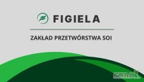 Skupujemy ziarno soi na potrzeby naszego zakładu w ilościach całosamochodowych i mniejszych. Możliwy jest odbiór z gospodarstwa...