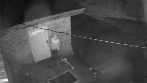 Były pracownik chlewni ukradł 115 warchlaków