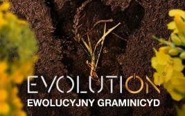 Evolution – (r)ewolucja w zwalczaniu chwastów jednoliściennych