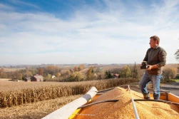 Kukurydza – obniżanie kosztów produkcji