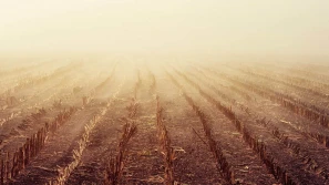 Czy będą odstępstwa od norm GAEC?