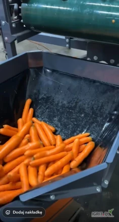 Sprzedam marchew mytą kaliber handlowy worek szyty 10kg 