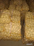Sprzedam ziemniaki odmiany SORAYA, sortowane od 4,5+ ,worek 15kg .Ziemniaki z jasnej ziemi, zdrowe .Więcej informacji telefonicznie. 