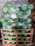 Sprzedam kapustę białą w worku 20 kg jednorazowo 3-5 ton cena transport oraz ilość do ustalenia