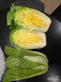 Sprzedam kapustę Pekinke zielona czysta bez robaka cena 3 zl za kg + opakowanie dostępne 80 t tel.795971014 
