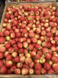 Sprzedam Idared 7+czyste zdrowe jabłko  ilość 100skrzyń