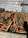 Sprzedam marchew grubą kaliber 3 plus ładna zdrowa kopana za nać