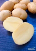 "Baby potatoes" Sprzedam ziemniaki jadalne Queen Anna. Kaliber do 50. Opakowanie do uzgodnienia, worek szyty 10kg lub 15kg, big-bag..