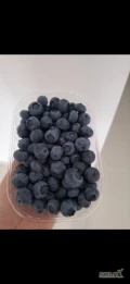 Witam sprzedam 100kg borówki amerykańskiej, świeżo rwanej. Pakowane w 1kg łubianki cena do uzgodnienia. Zapraszam do kontaktu. Odmiana...